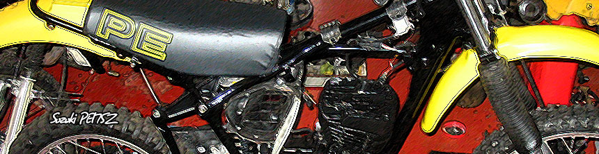 Project of the Suzuki PE175Z